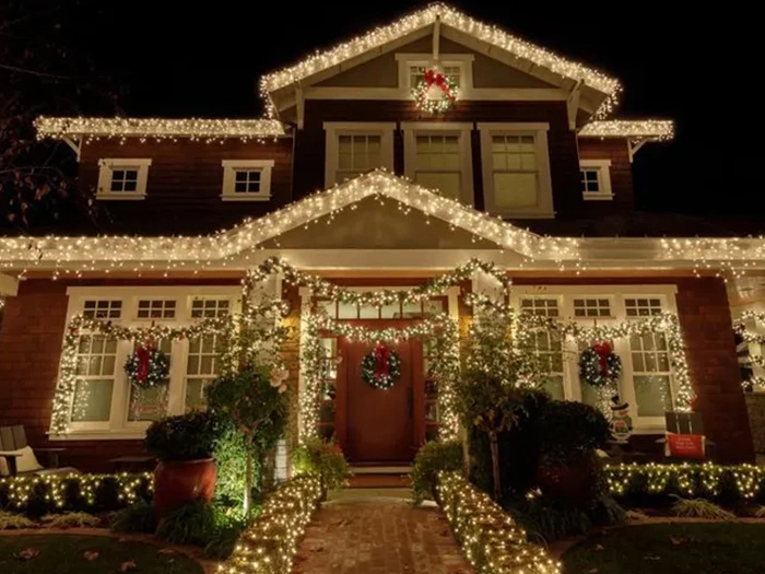 Professional Christmas Light Installation​