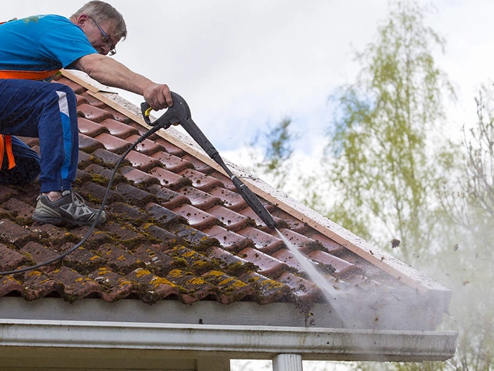 Professional Gutter Repair Services in Bellevue​