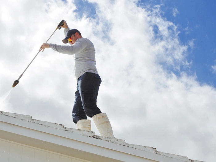 Professional Roof Cleaning in Auburn, WA