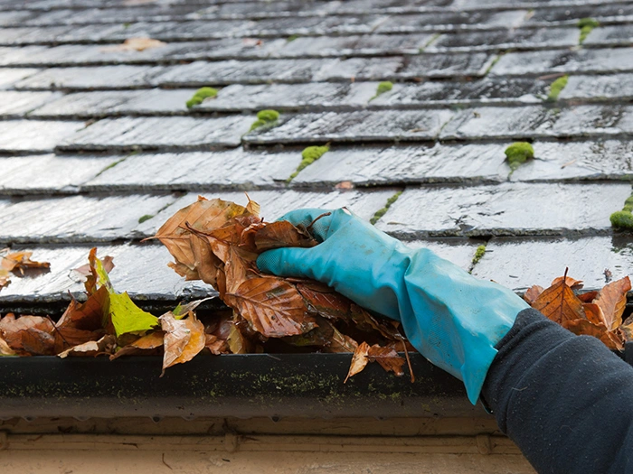 Reliable Gutter Debris Removal in Renton​