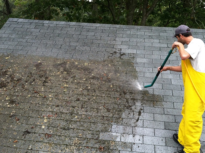 Trusted Roof Moss Removal in Puyallup​